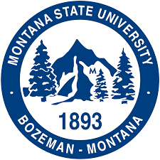 montana-state-university